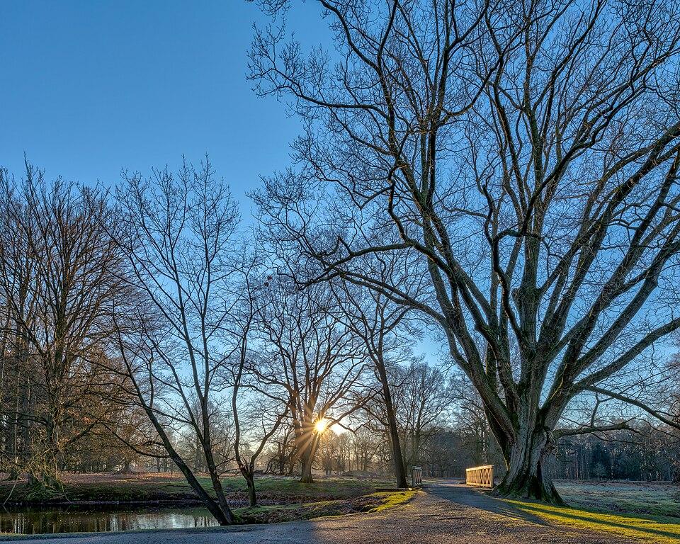 File:Dülmen, Wildpark -- 2019 -- 3216-22.jpg
